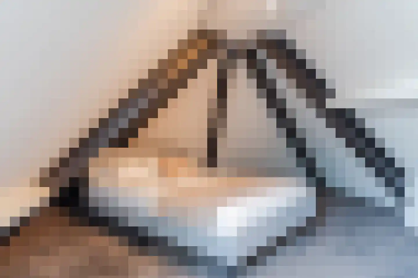 Diepe Vaart 25 Geldrop thumbnail 61