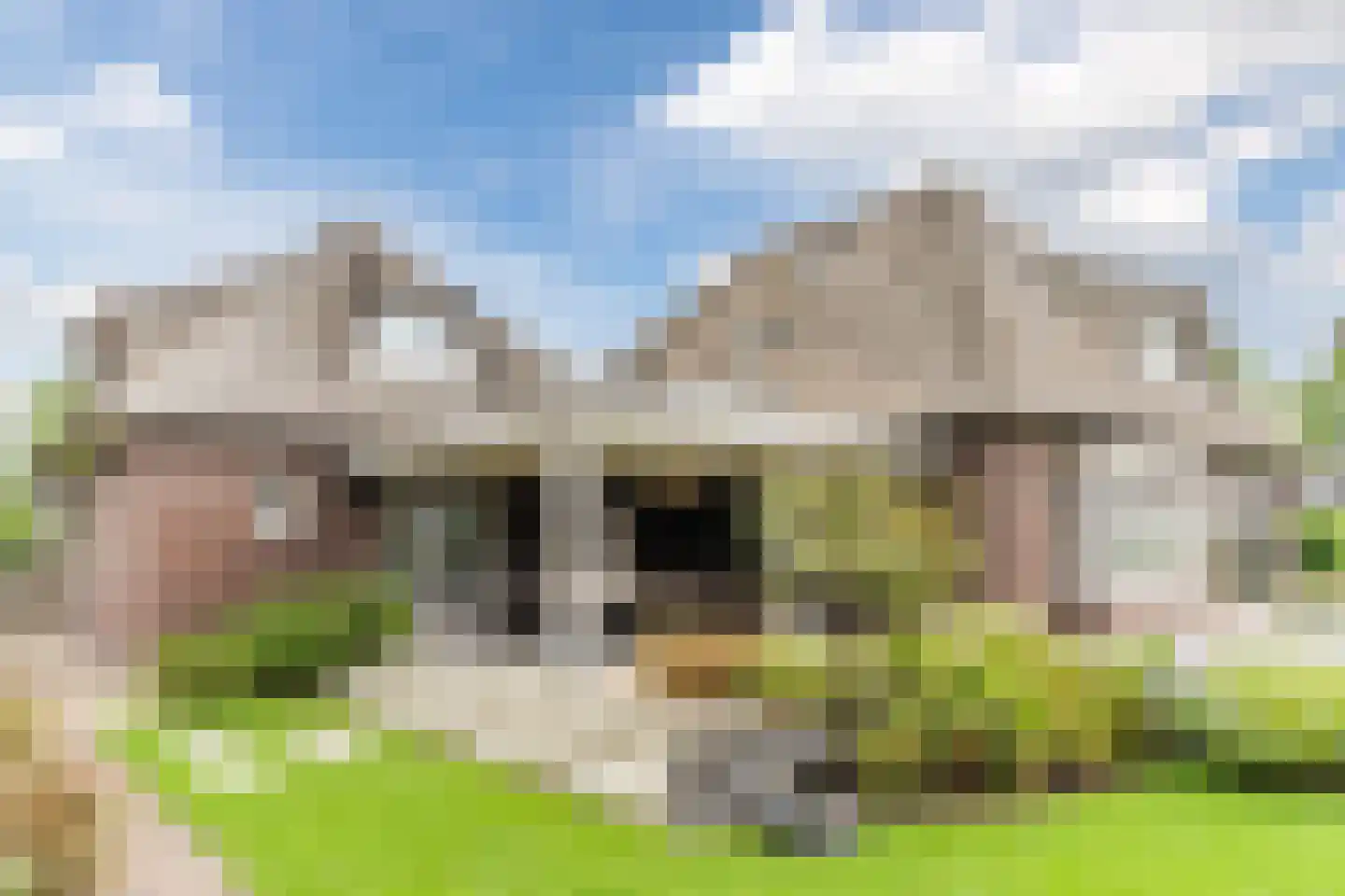 Diepe Vaart 25 Geldrop thumbnail 79
