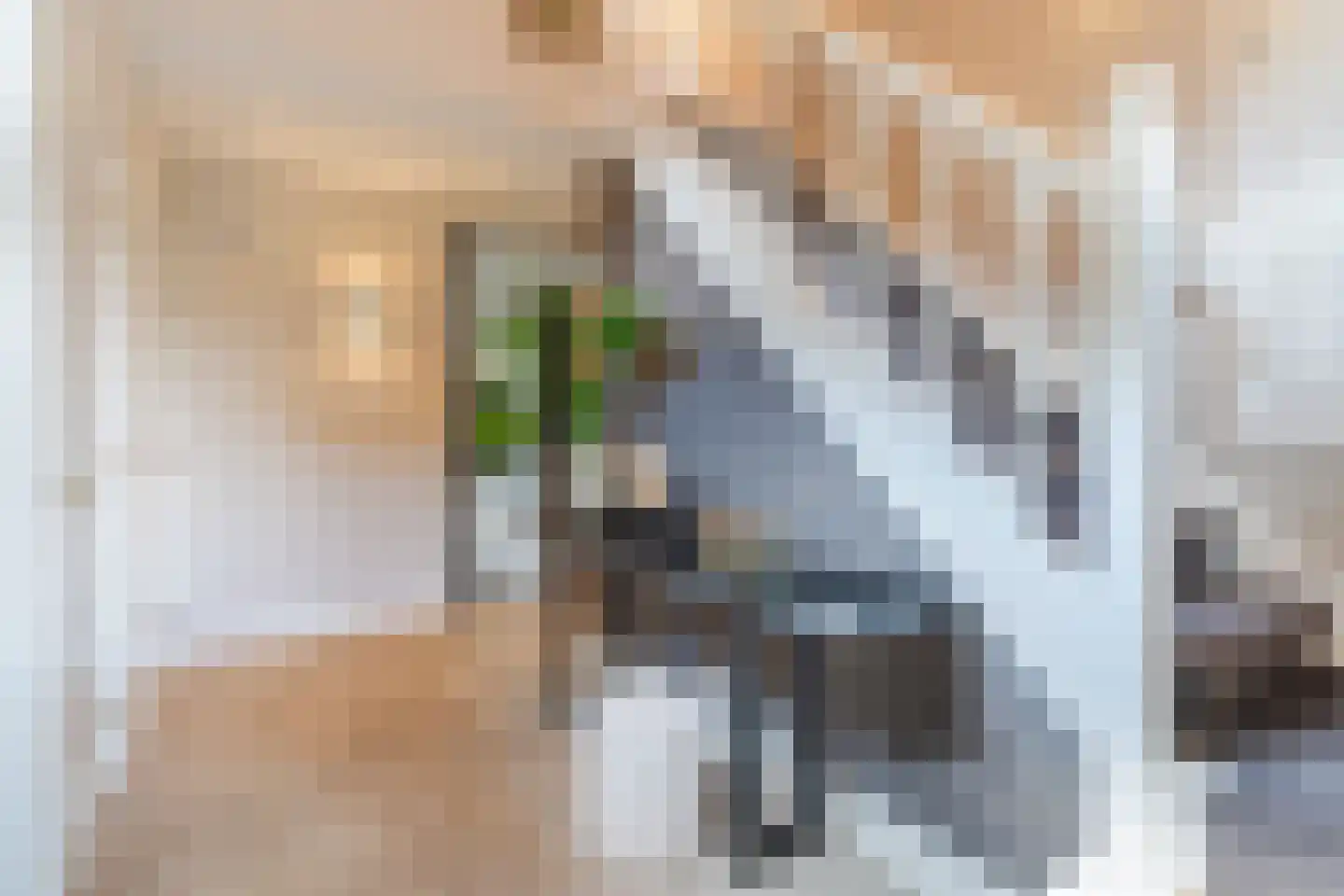 Diepe Vaart 25 Geldrop thumbnail 8