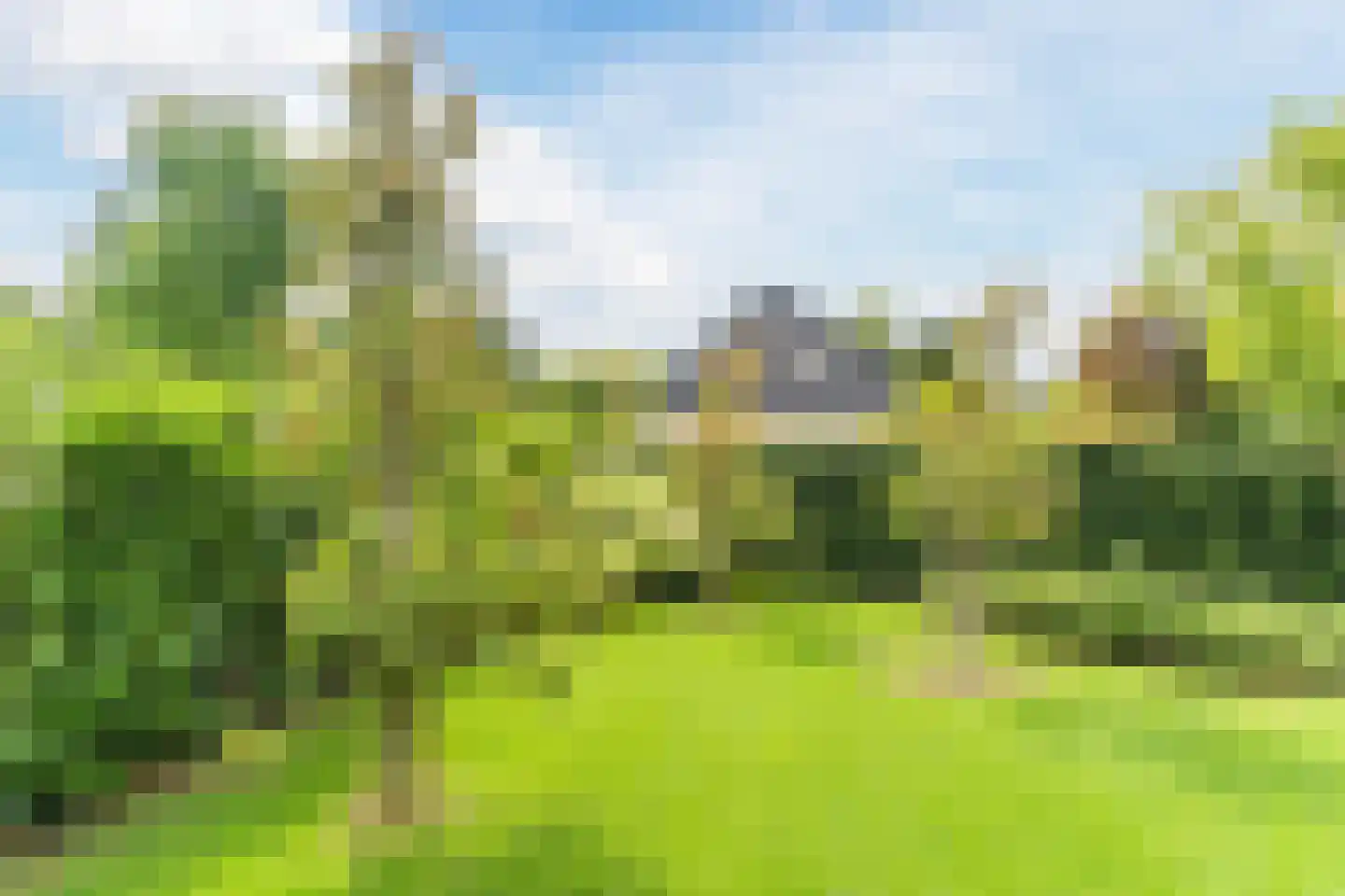 Diepe Vaart 25 Geldrop thumbnail 97