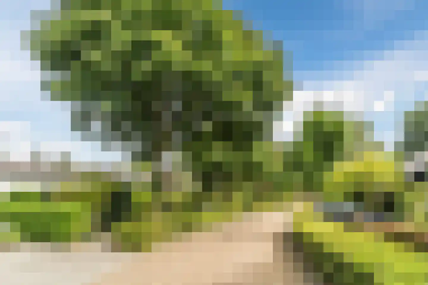 Diepe Vaart 25 Geldrop thumbnail 98