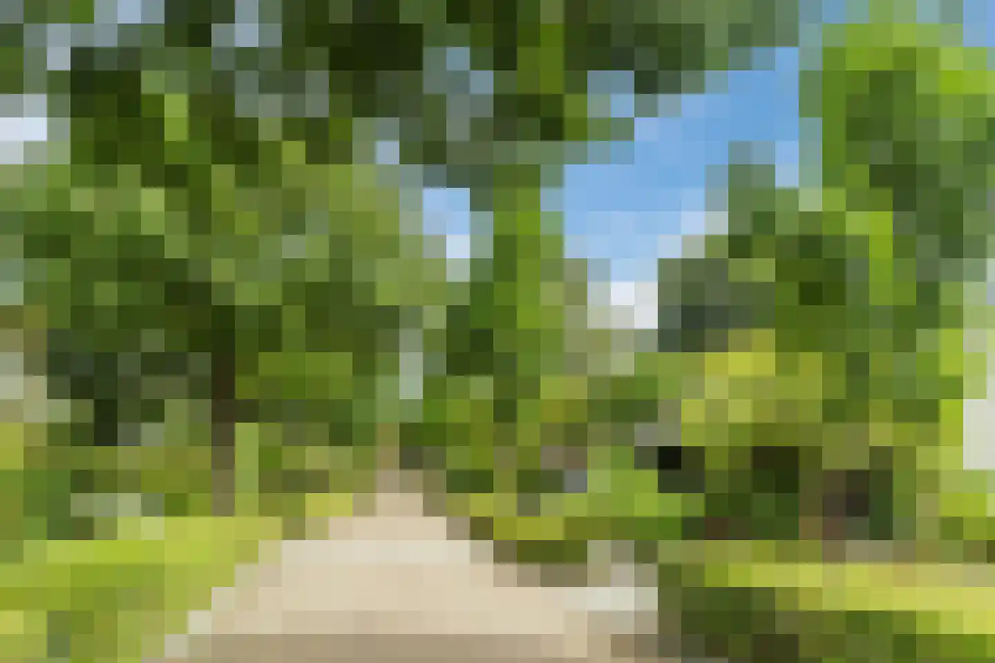 Diepe Vaart 25 Geldrop thumbnail 99