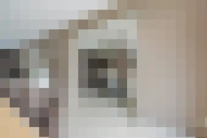 Diepe Vaart 6 A Geldrop thumbnail 13