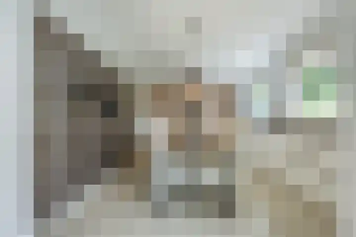 Diepe Vaart 6 A Geldrop thumbnail 14