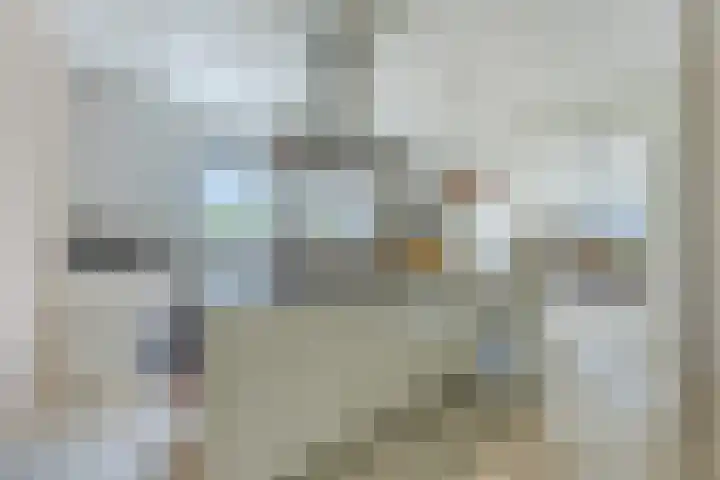 Diepe Vaart 6 A Geldrop thumbnail 15