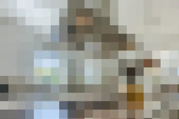 Diepe Vaart 6 A Geldrop thumbnail 16