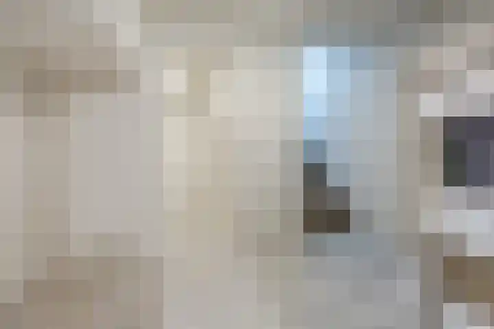 Diepe Vaart 6 A Geldrop thumbnail 23