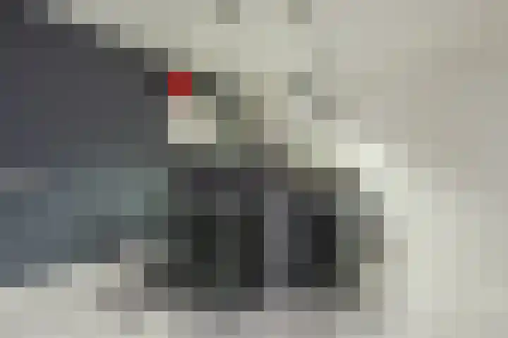Diepe Vaart 6 A Geldrop thumbnail 25
