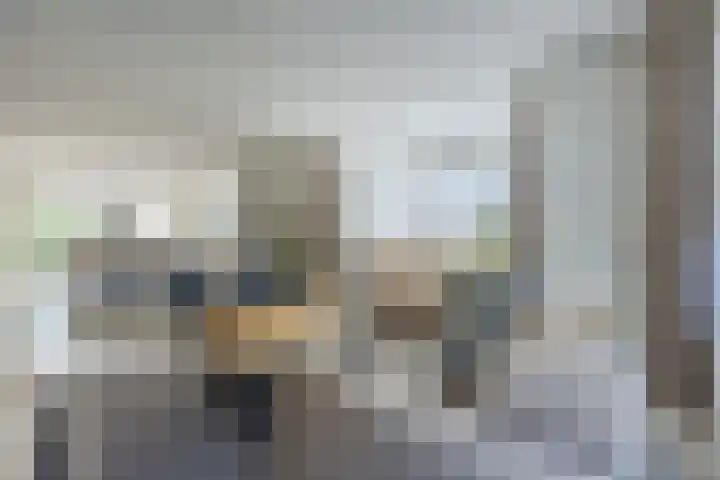 Diepe Vaart 6 A Geldrop foto 3