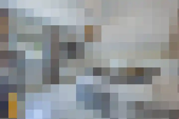 Diepe Vaart 6 A Geldrop thumbnail 36