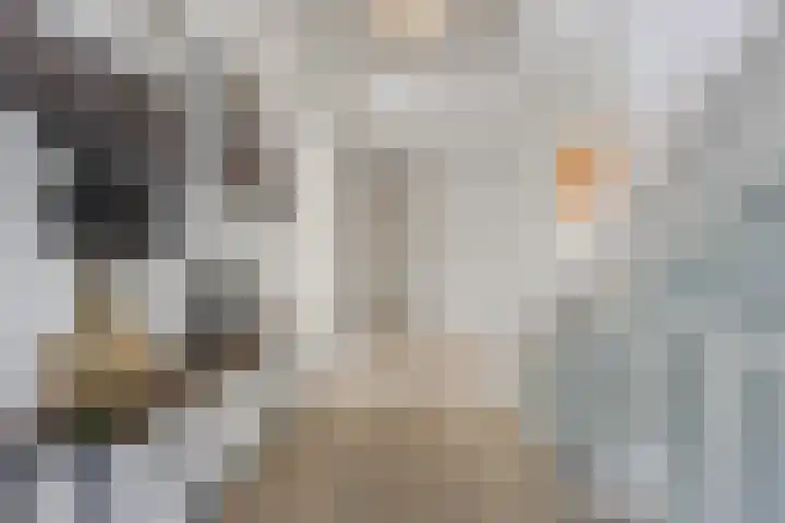 Diepe Vaart 6 A Geldrop thumbnail 38