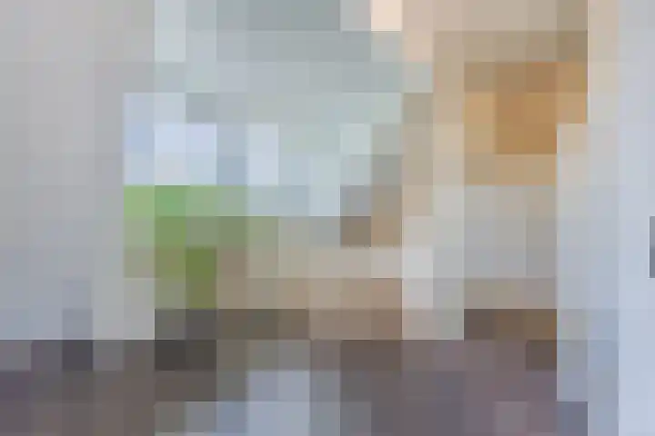 Diepe Vaart 6 A Geldrop thumbnail 40