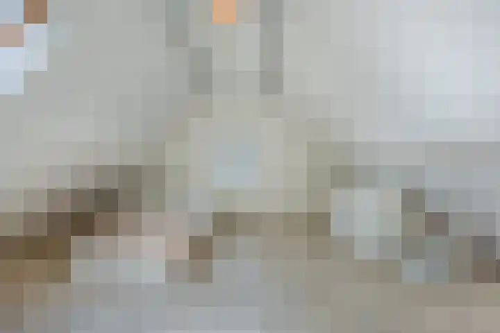 Diepe Vaart 6 A Geldrop thumbnail 47