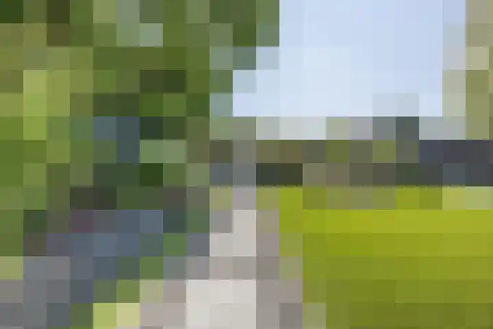 Diepe Vaart 6 A Geldrop thumbnail 52