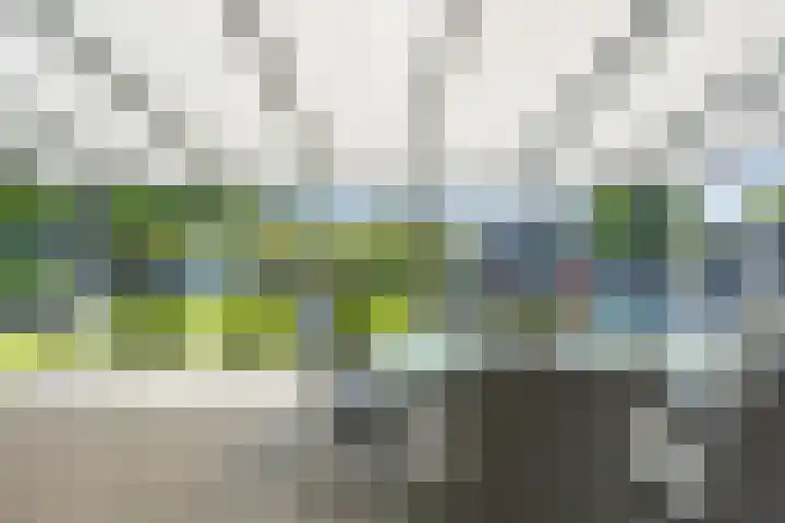 Diepe Vaart 6 A Geldrop thumbnail 54