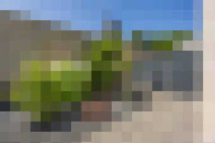 Diepe Vaart 6 A Geldrop thumbnail 55