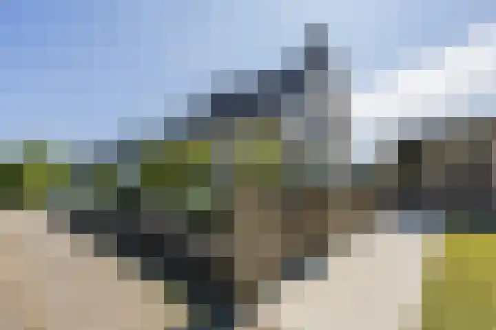 Diepe Vaart 6 A Geldrop thumbnail 63