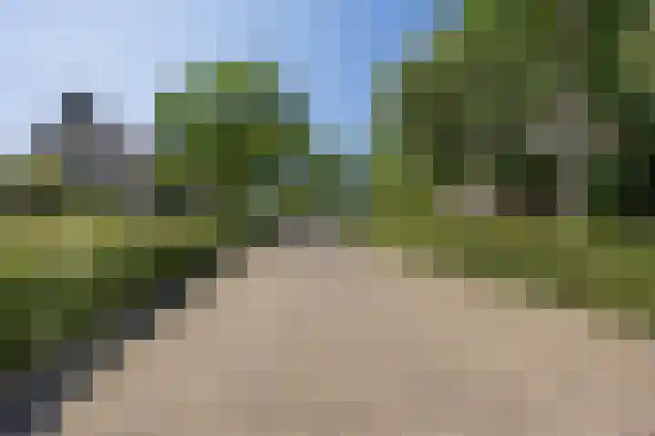 Diepe Vaart 6 A Geldrop thumbnail 67