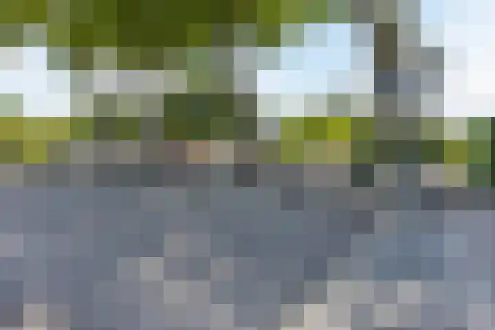 Diepe Vaart 6 A Geldrop thumbnail 68