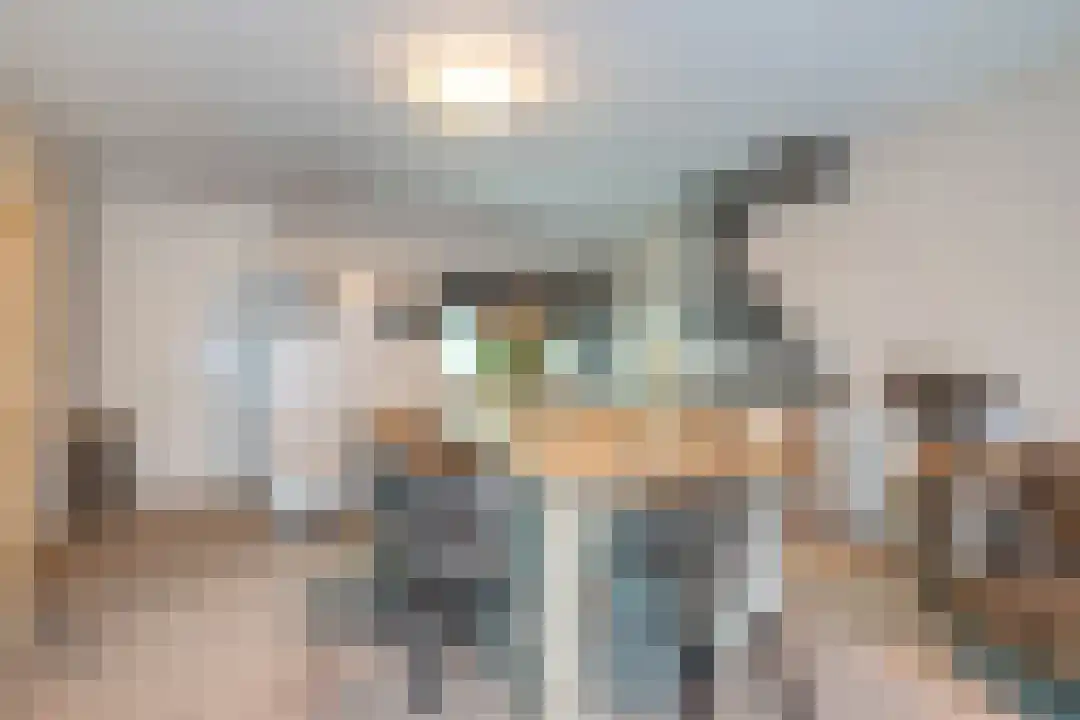 Diepe Vaart 6 Geldrop foto 2