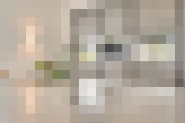 Diepenallee 70 Valkenburg thumbnail 11