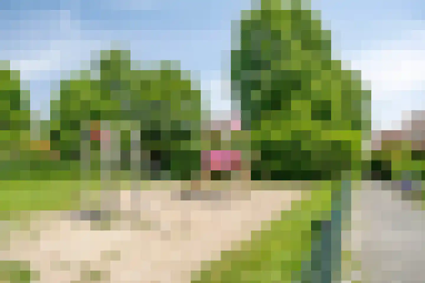Diepenbeek 24 Sint-Michielsgestel thumbnail 37
