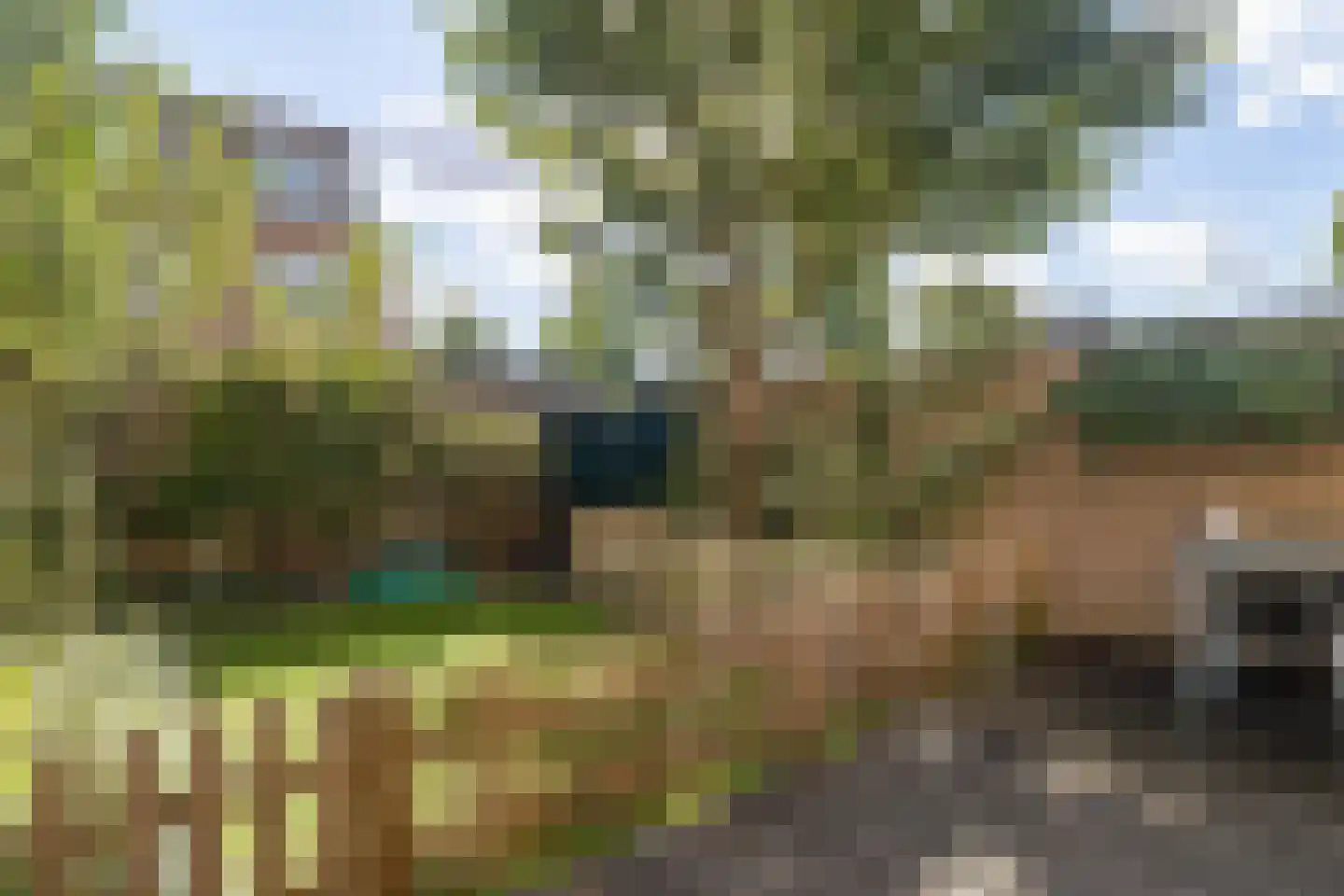 Diepenbeekplantsoen 67 Amsterdam thumbnail 37