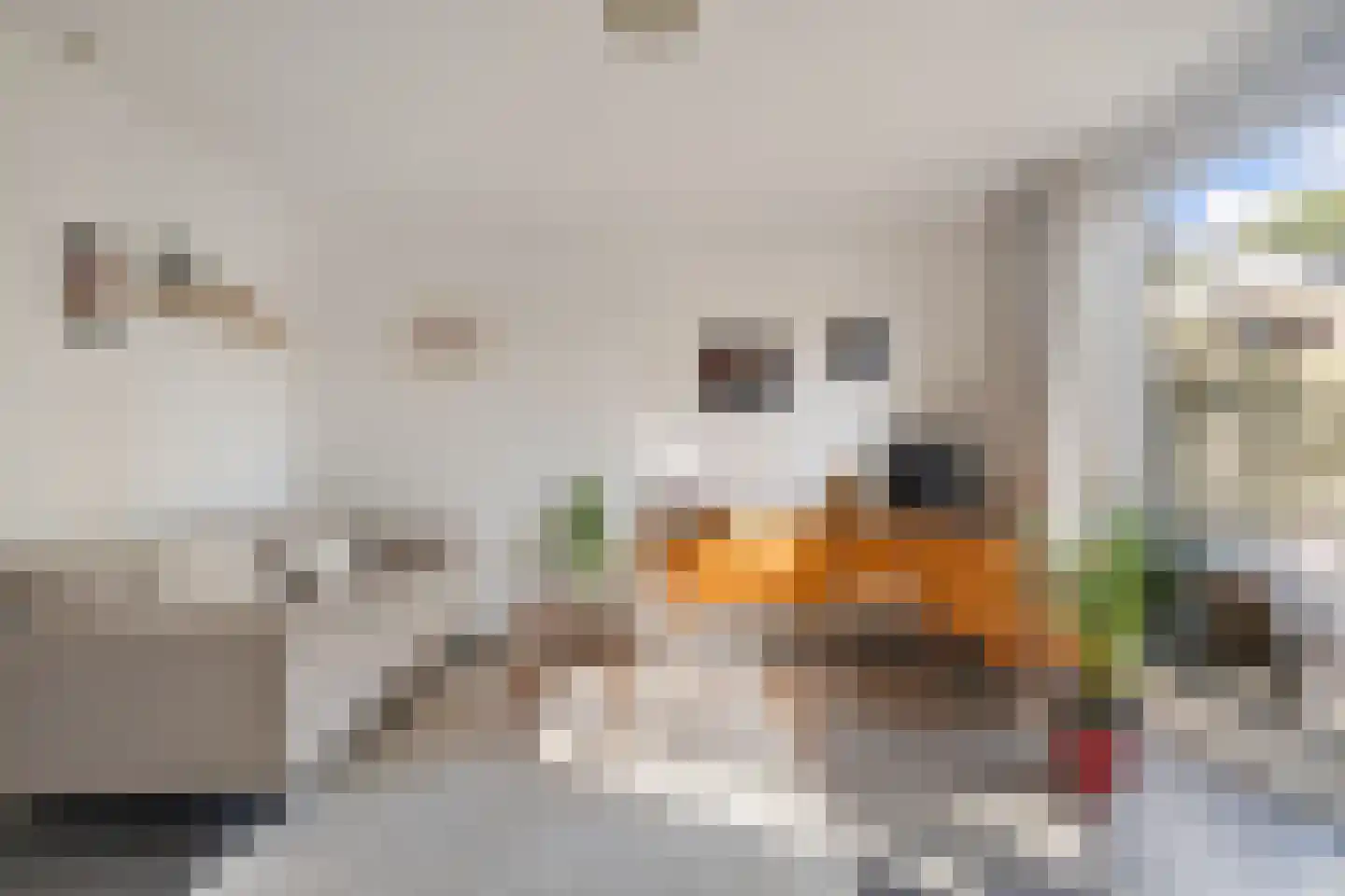 Diepenbeekplantsoen 67 Amsterdam thumbnail 8