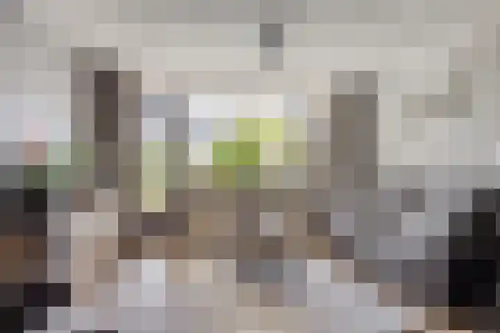 Diepenbrockdreef 11 Veenendaal thumbnail 13