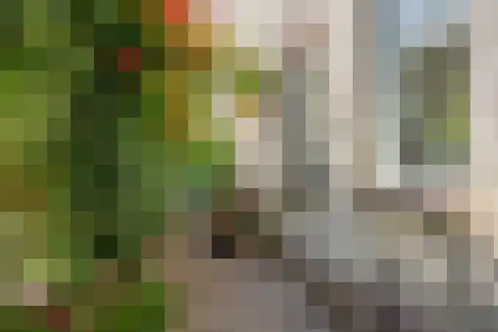 Diepenbrockdreef 11 Veenendaal thumbnail 32