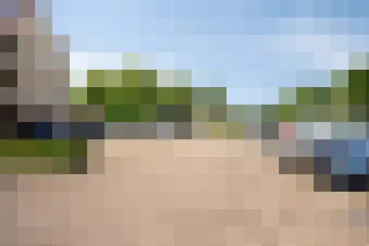 Diepenbrockdreef 11 Veenendaal thumbnail 34