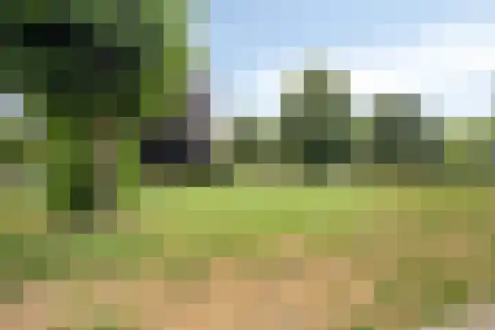 Diepenbrockdreef 11 Veenendaal thumbnail 39