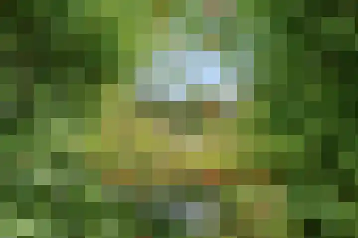 Diepenbrockdreef 11 Veenendaal thumbnail 4