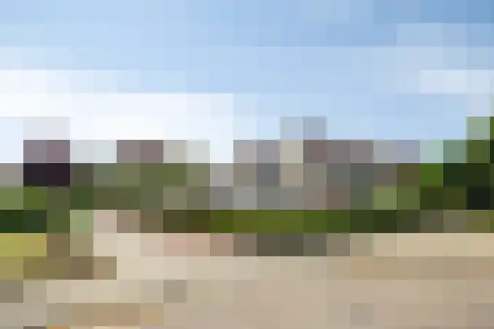 Diepenbrockdreef 11 Veenendaal thumbnail 6