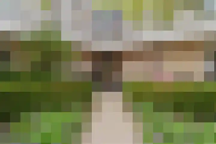 Diepenbrockdreef 11 Veenendaal thumbnail 9