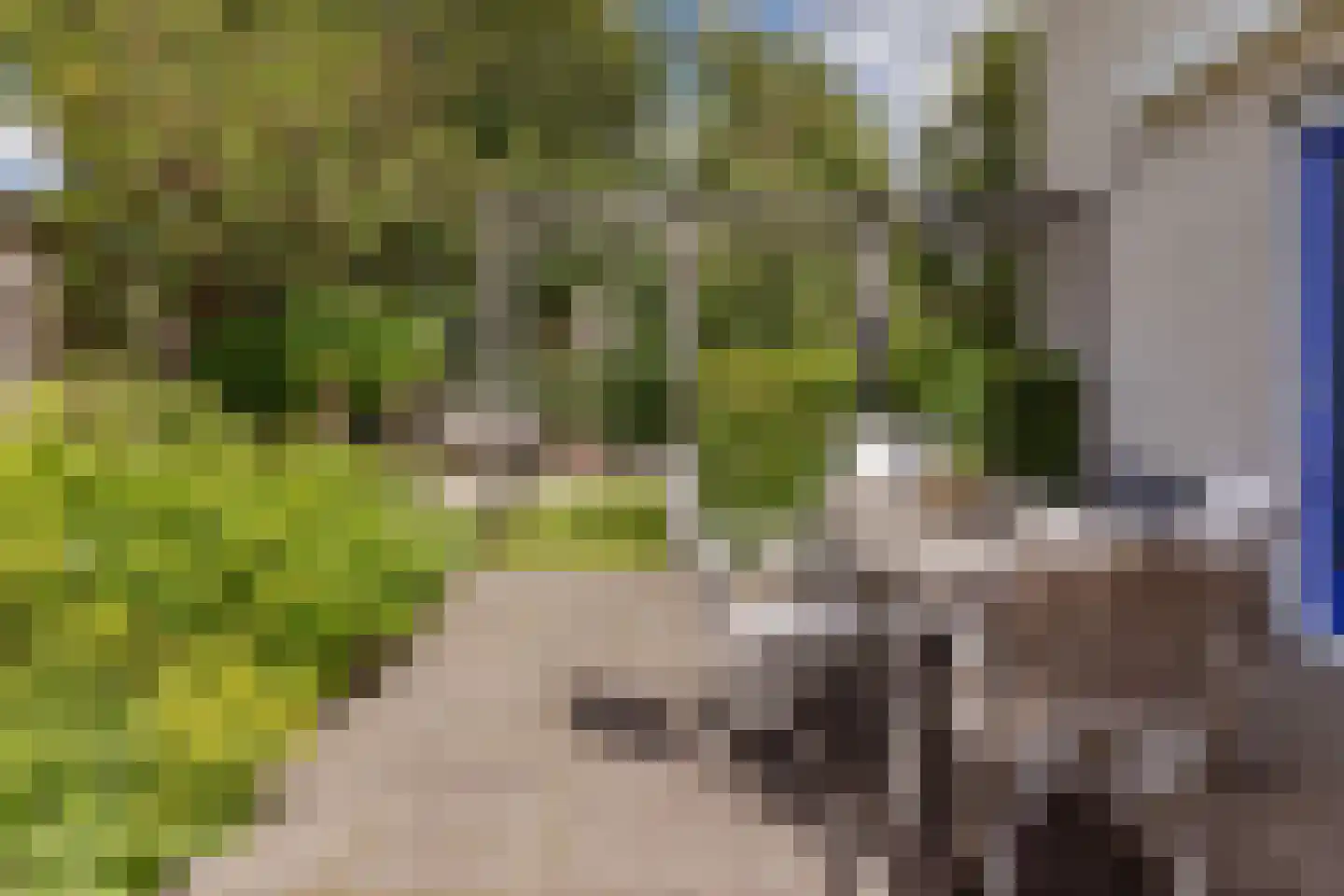 Diepenbrockhof 36 Hoorn thumbnail 33