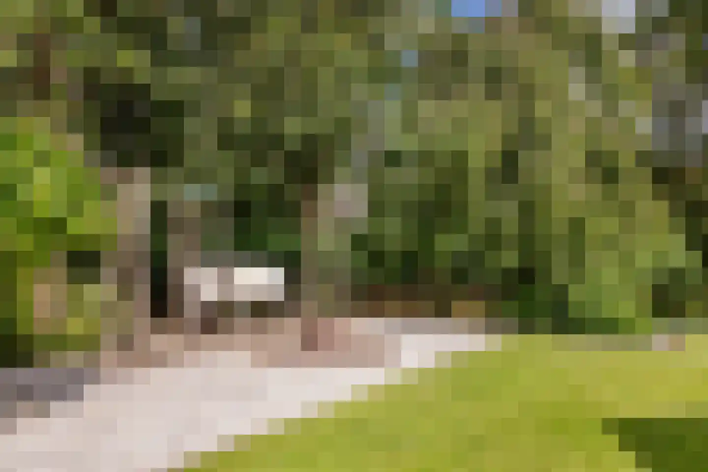 Diepenbrockhof 36 Hoorn thumbnail 39