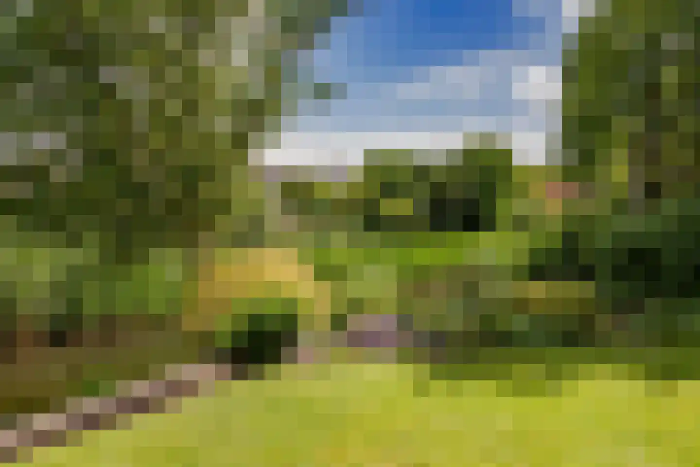 Diepenbrockhof 36 Hoorn thumbnail 40