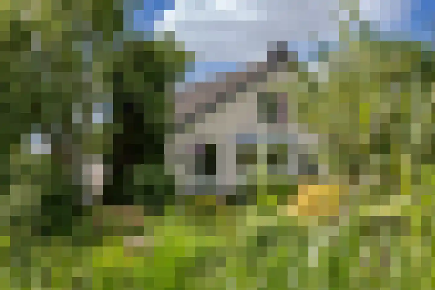 Diepenbrockhof 36 Hoorn thumbnail 43