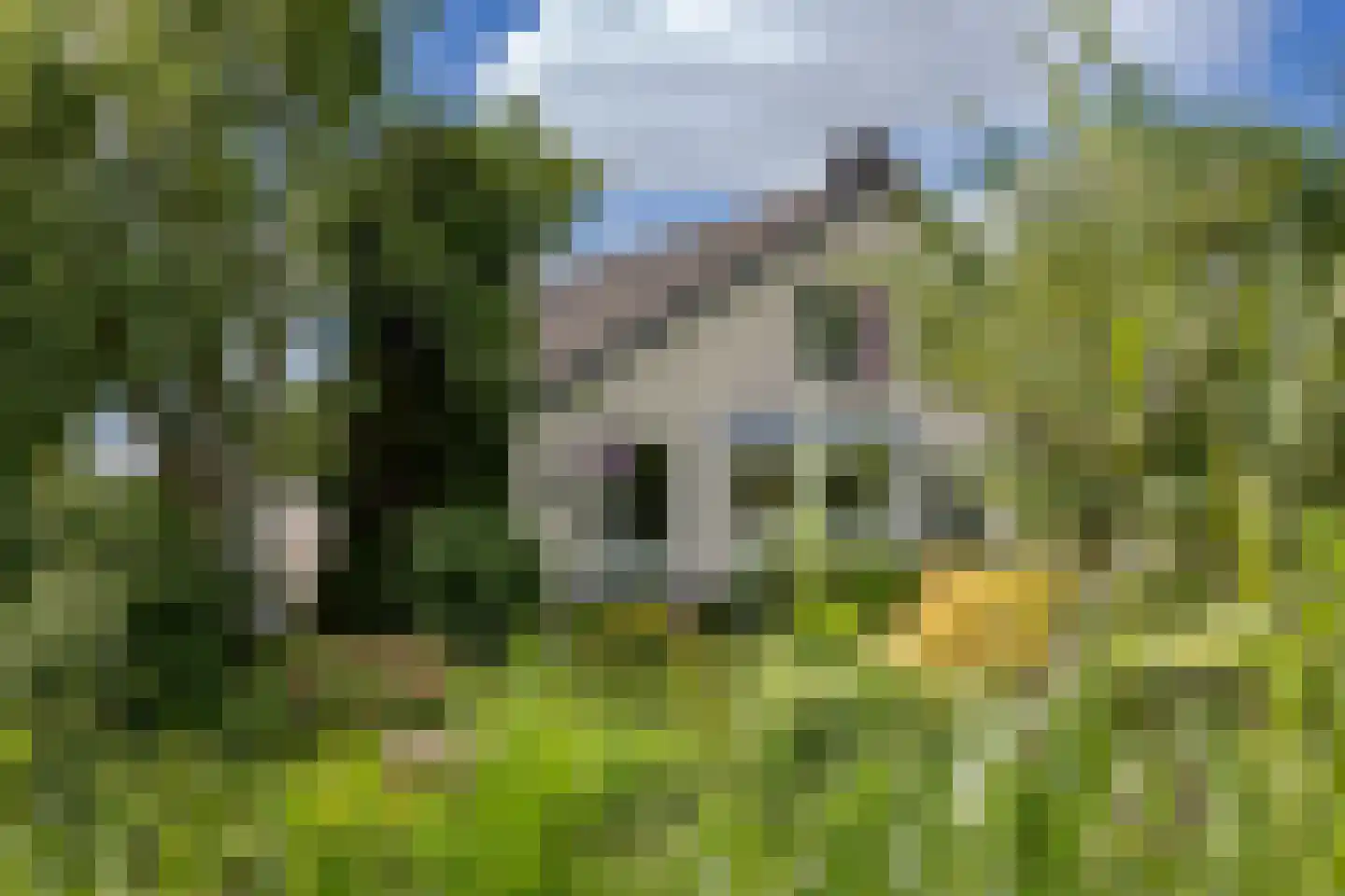 Diepenbrockhof 36 Hoorn thumbnail 44