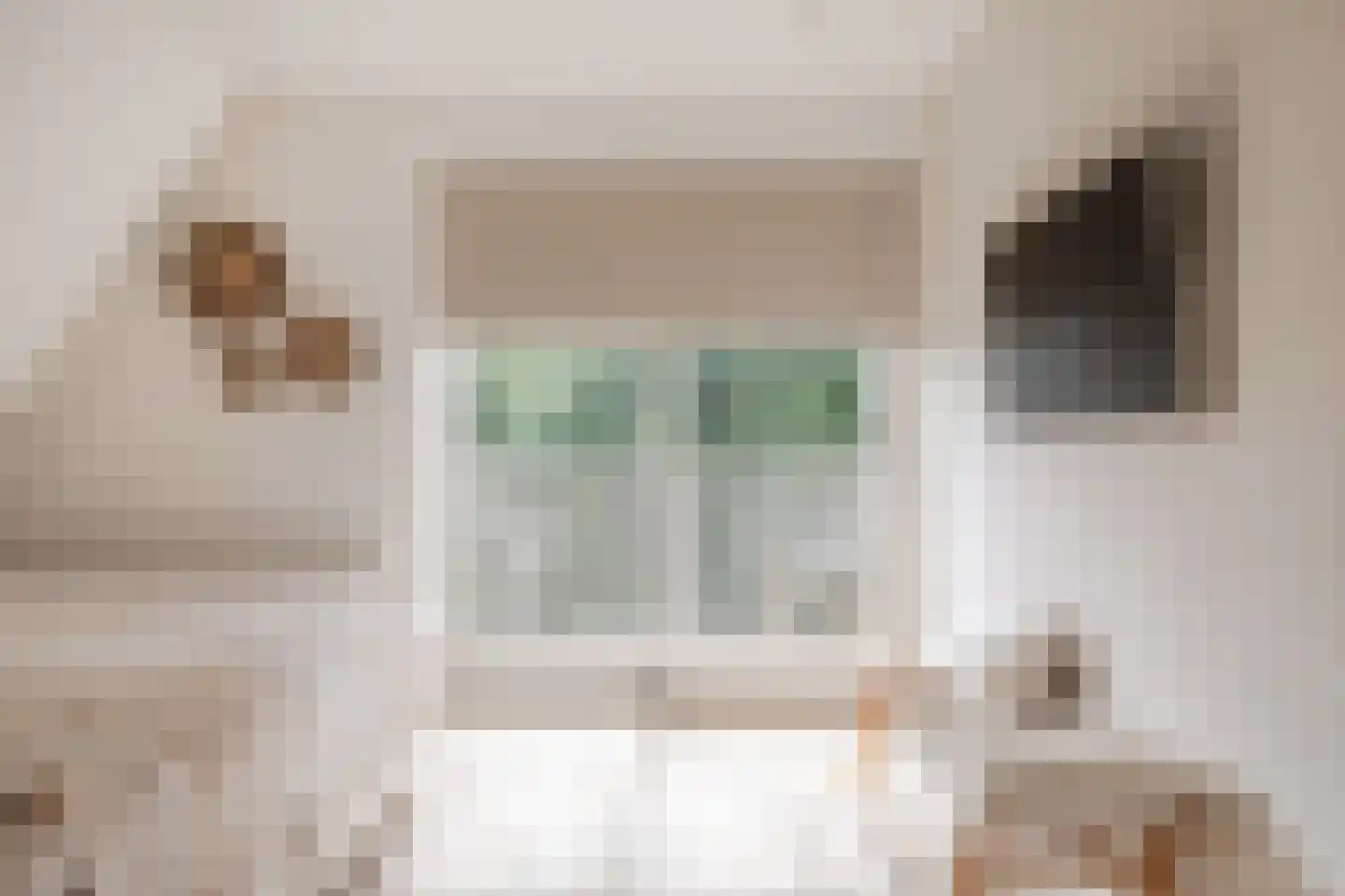 Diepenbrockhof 45 Hoorn thumbnail 17
