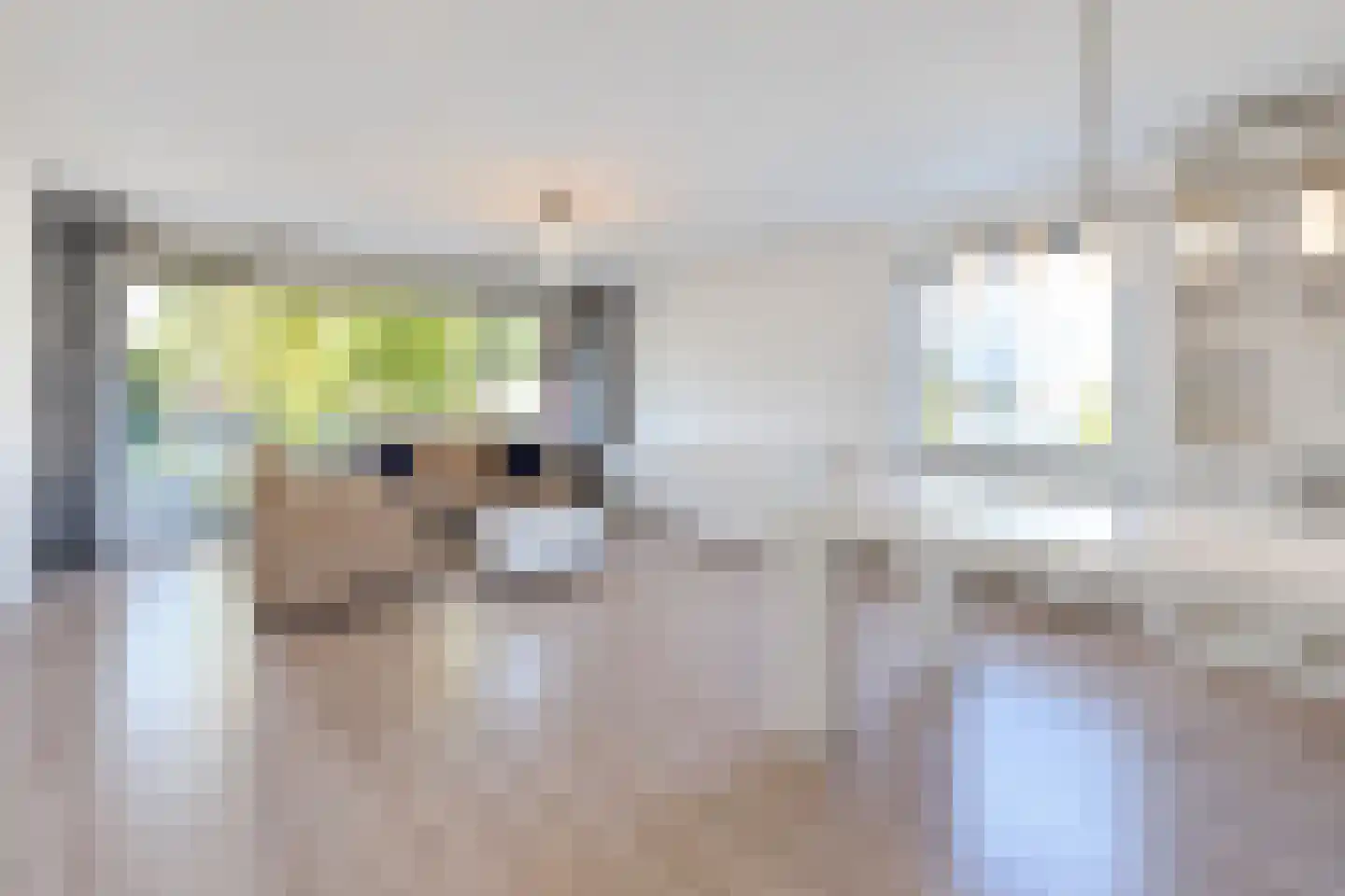 Diepenbrockhof 5 Gouda thumbnail 4