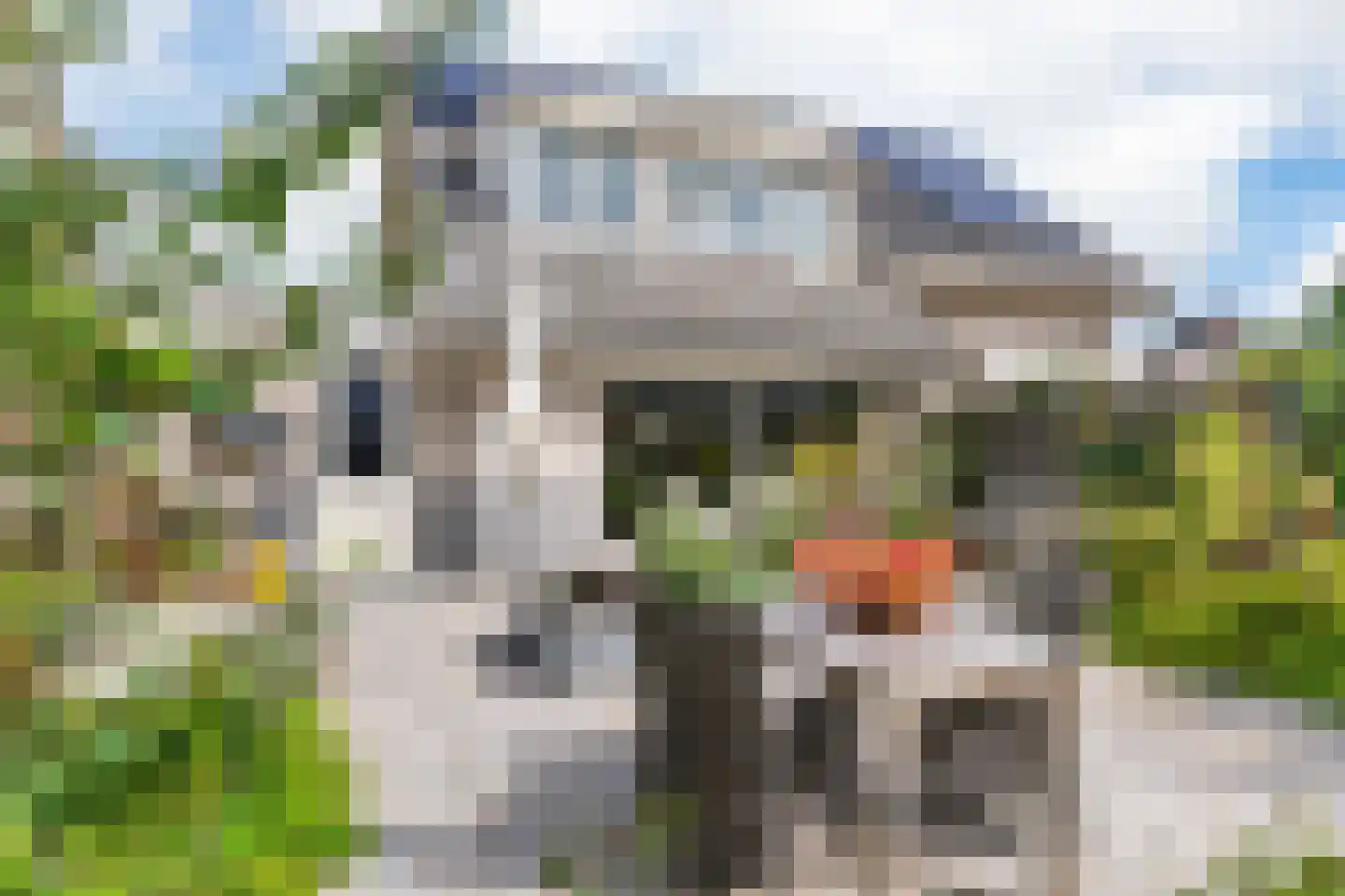 Diepenbrockhof 61 Hoorn thumbnail 29
