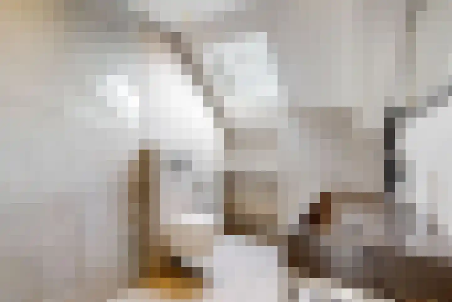 Diepenbrockhof 61 Hoorn thumbnail 4
