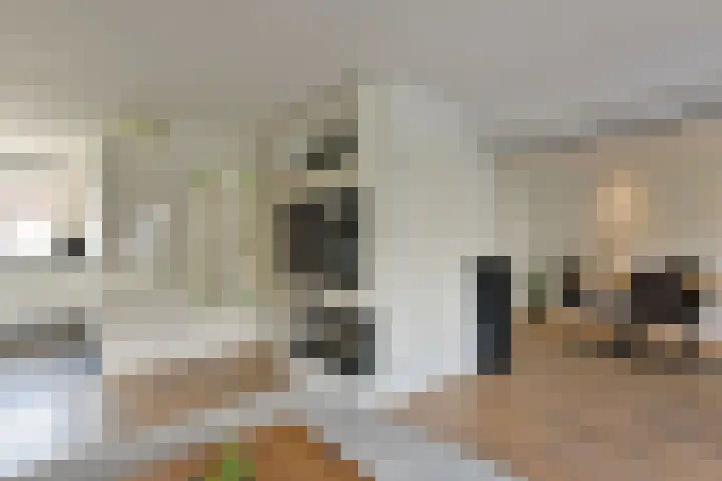 Diepenbrockhof 66 Hoorn thumbnail 4