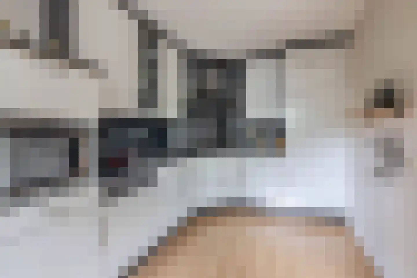Diepenbrockhof 7 Gouda thumbnail 4