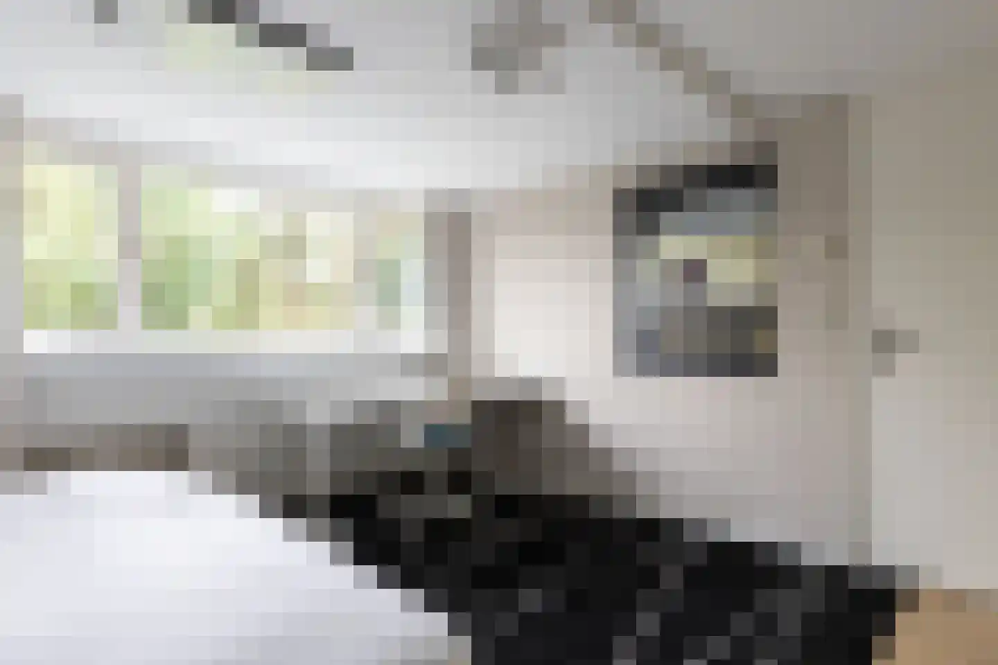 Diepenbrocklaan 10 Bilthoven thumbnail 31