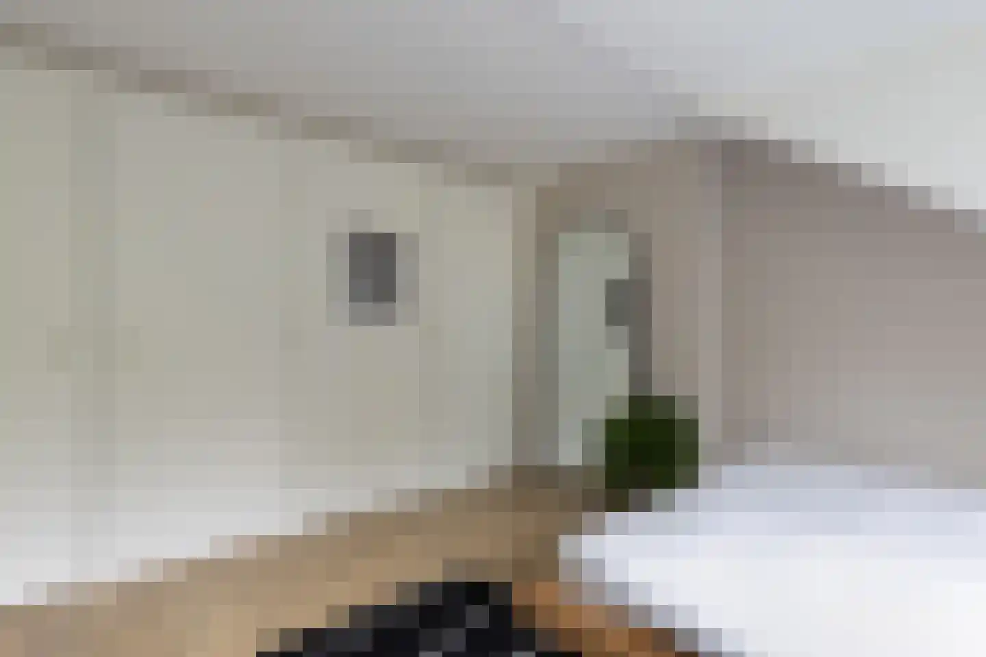 Diepenbrocklaan 10 Bilthoven thumbnail 32