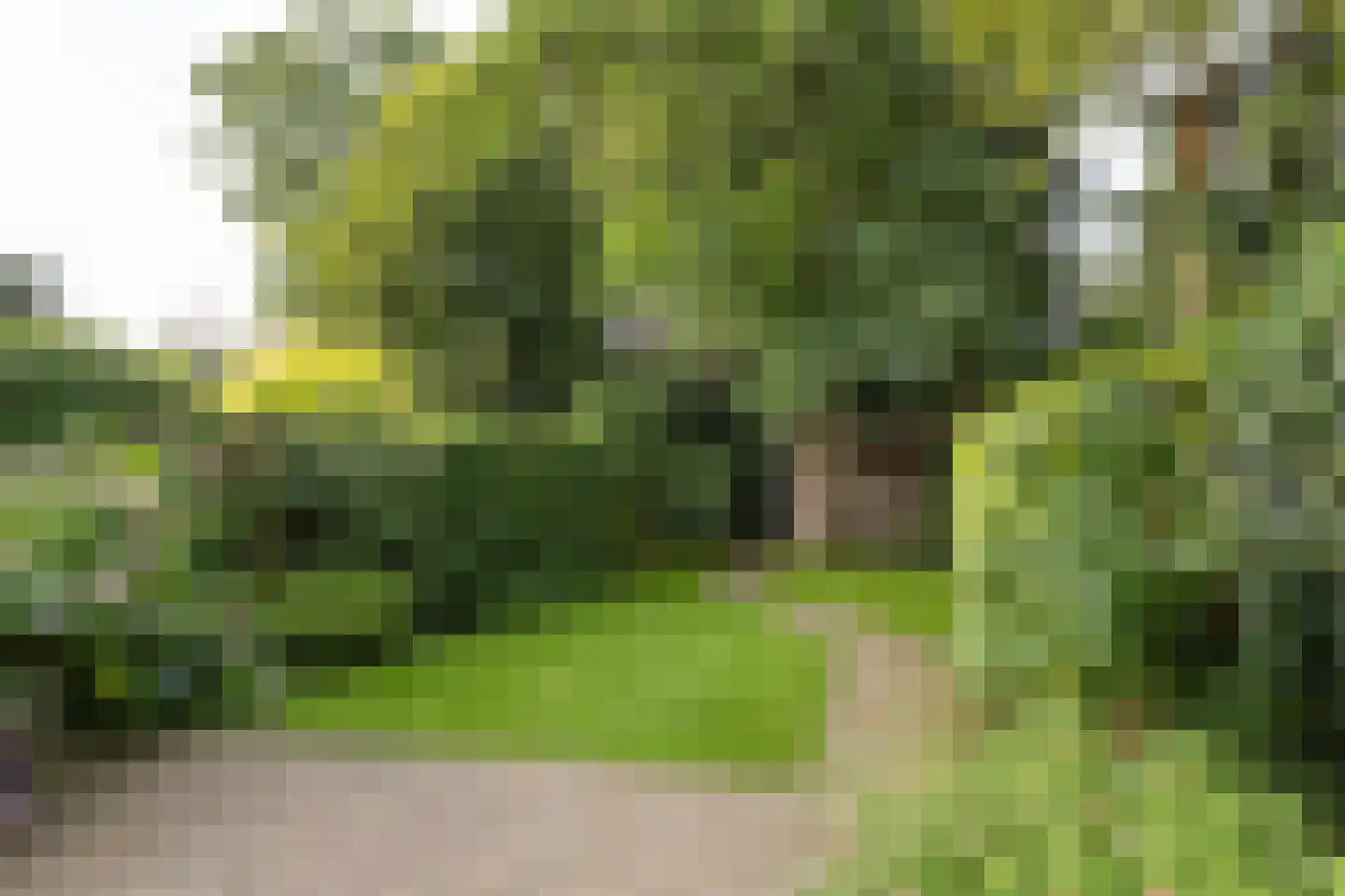 Diepenbrocklaan 10 Bilthoven thumbnail 34