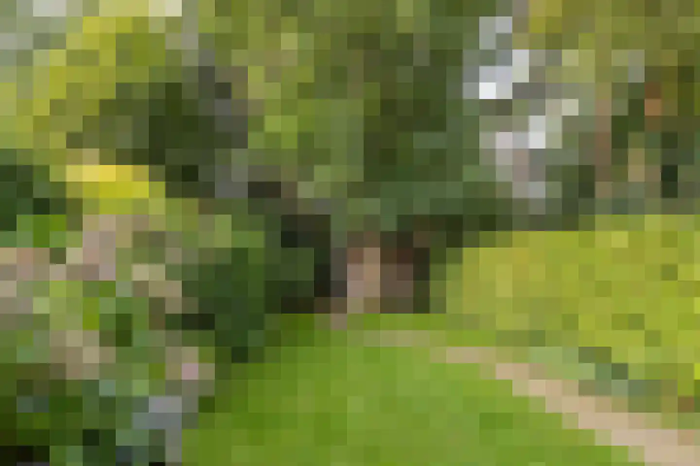 Diepenbrocklaan 10 Bilthoven thumbnail 35